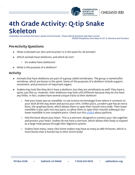 4Th Grade Activity: Q-Tip Snake Skeleton