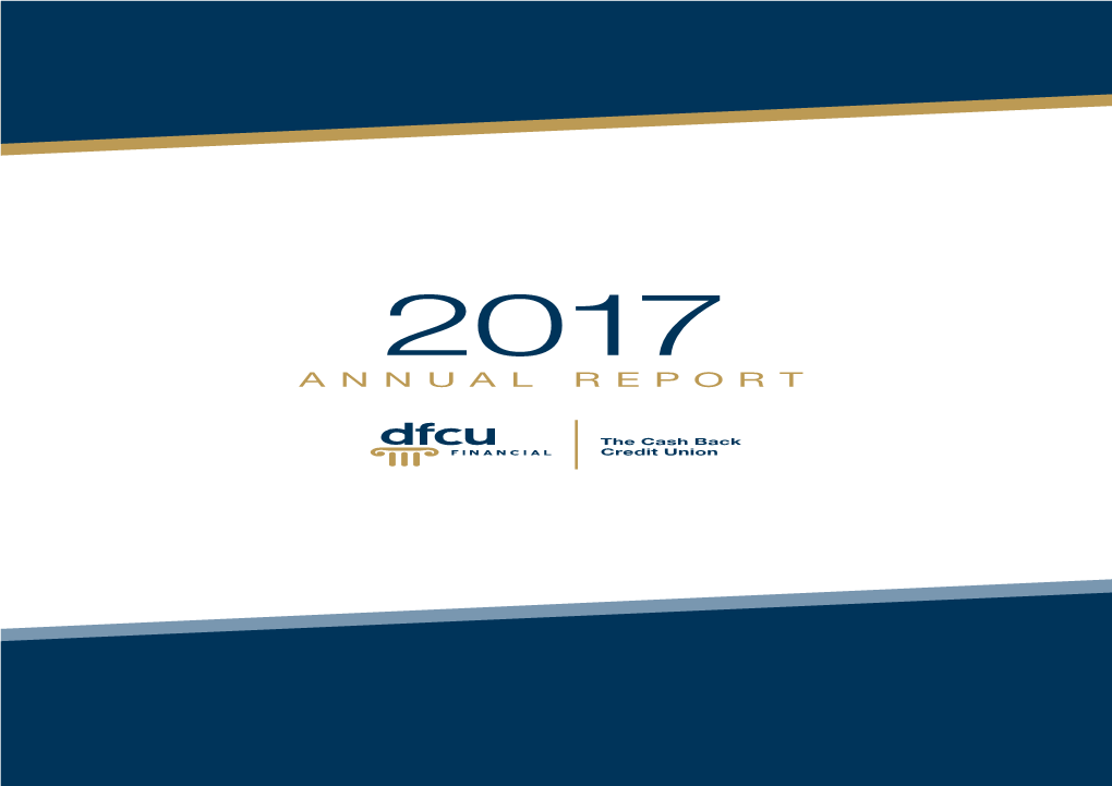 2017 Annual Report Opens A