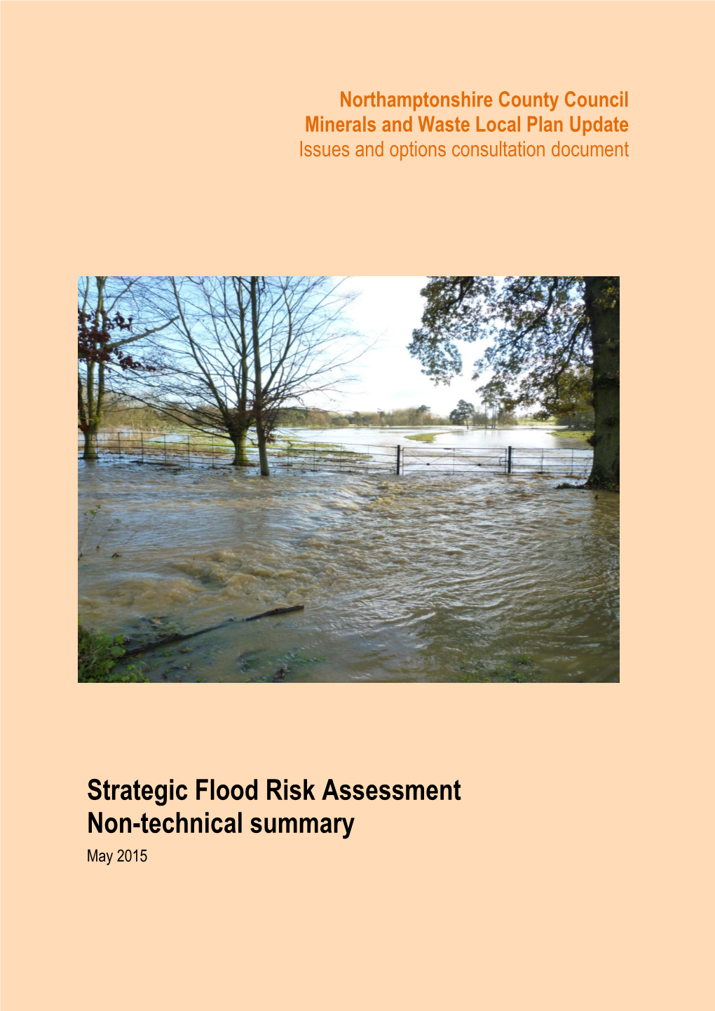 Strategic Flood Risk Assessment Non-Technical Summary May 2015