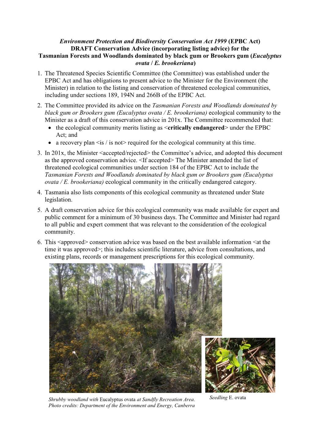 For the Tasmanian Forests and Woodlands Dominated by Black Gum Or Brookers Gum (Eucalyptus Ovata / E