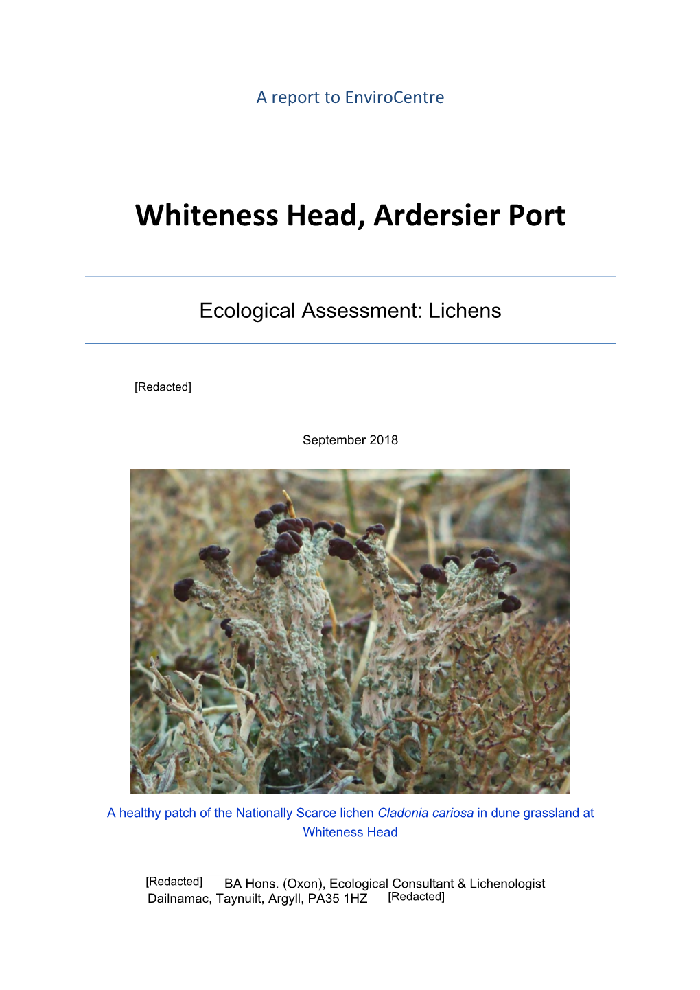 Whiteness Head, Ardersier Port