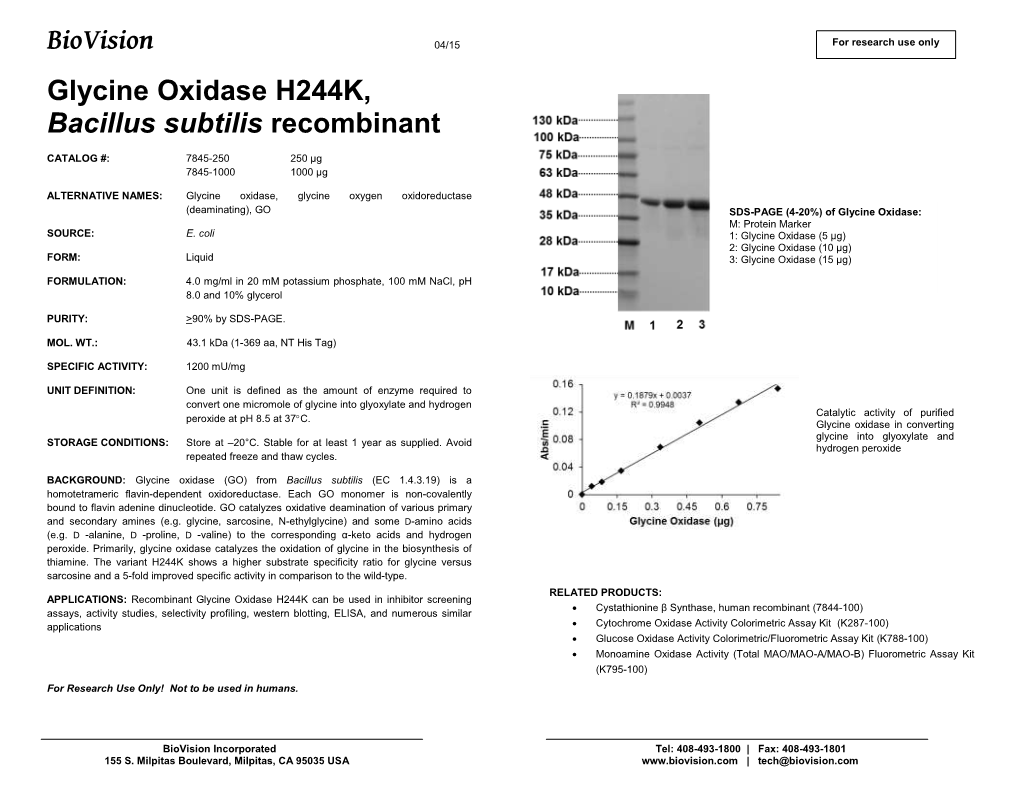 7845-250 -1000, Glycine Oxidase, Bacterial Recombinant