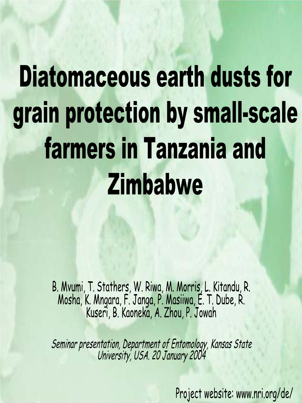 Diatomaceous Earth Dusts for Grain Protection by Small-Scale Farmers in Tanzania and Zimbabwe