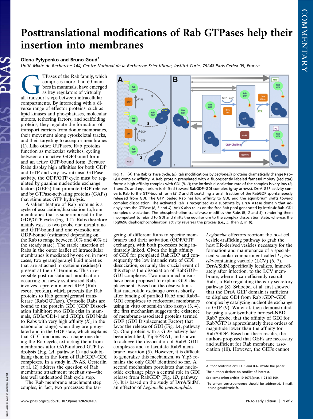 Posttranslational Modifications of Rab Gtpases Help Their Insertion Into Membranes