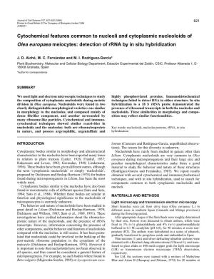 Cytochemical Features Common to Nucleoli and Cytoplasmic Nucleoloids of Olea Europaea Meiocytes: Detection of Rrna by in Situ Hybridization