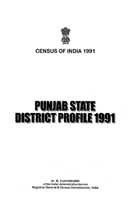 Punjab State District Profile 1991