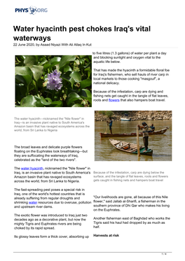 Water Hyacinth Pest Chokes Iraq's Vital Waterways 22 June 2020, by Asaad Niyazi with Ali Allaq in Kut