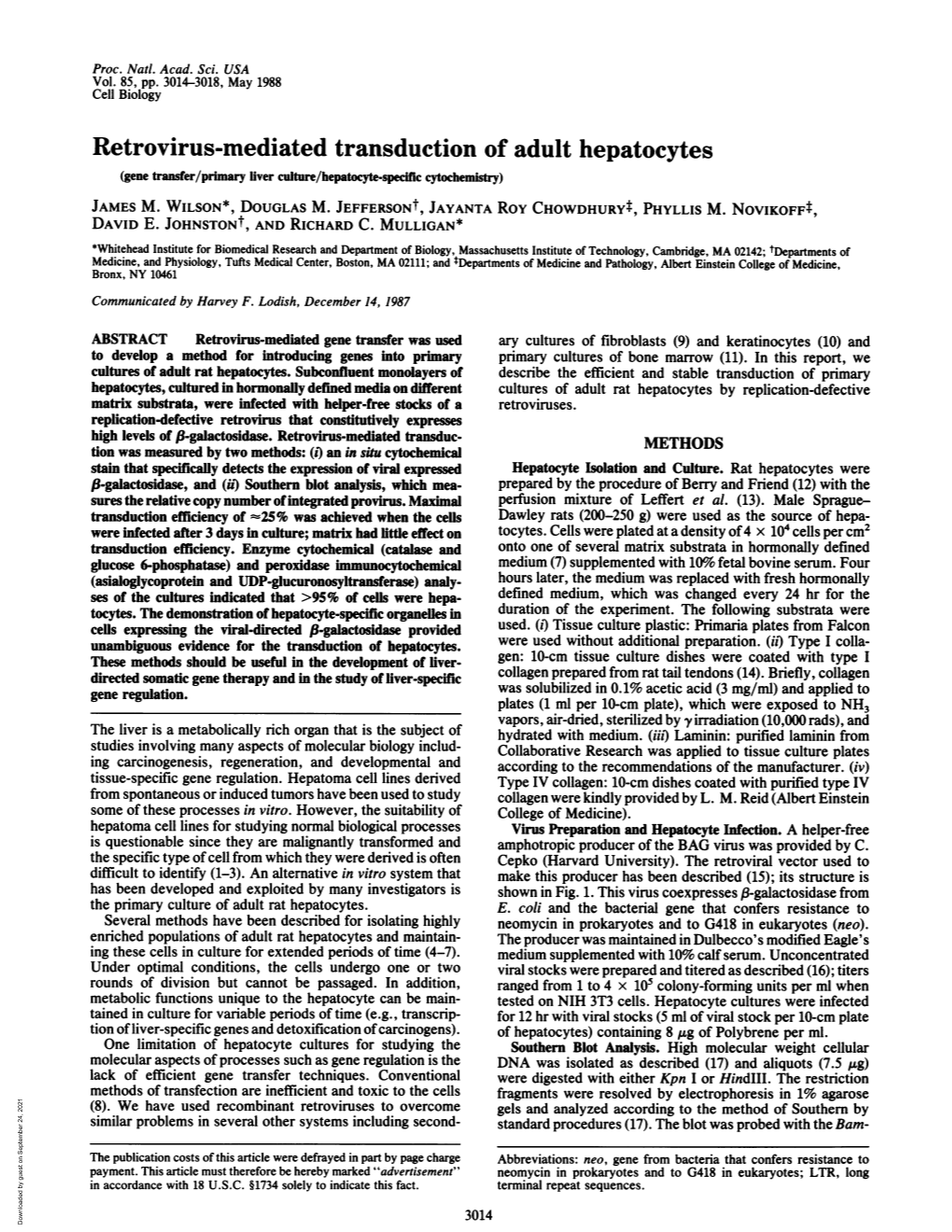 Retrovirus-Mediated Transduction of Adult Hepatocytes (Gene Transfer/Primary Liver Culture/Hepatocyte-Speciflc Cytochemistry) JAMES M