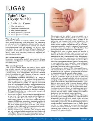 Painful Sex (Dyspareunia) Labia Majora a Guide for Women Labia Minora 1