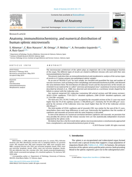 Anatomy, Immunohistochemistry, and Numerical Distribution of Human Splenic Microvessels
