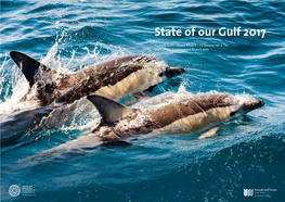 State of Our Gulf 2017