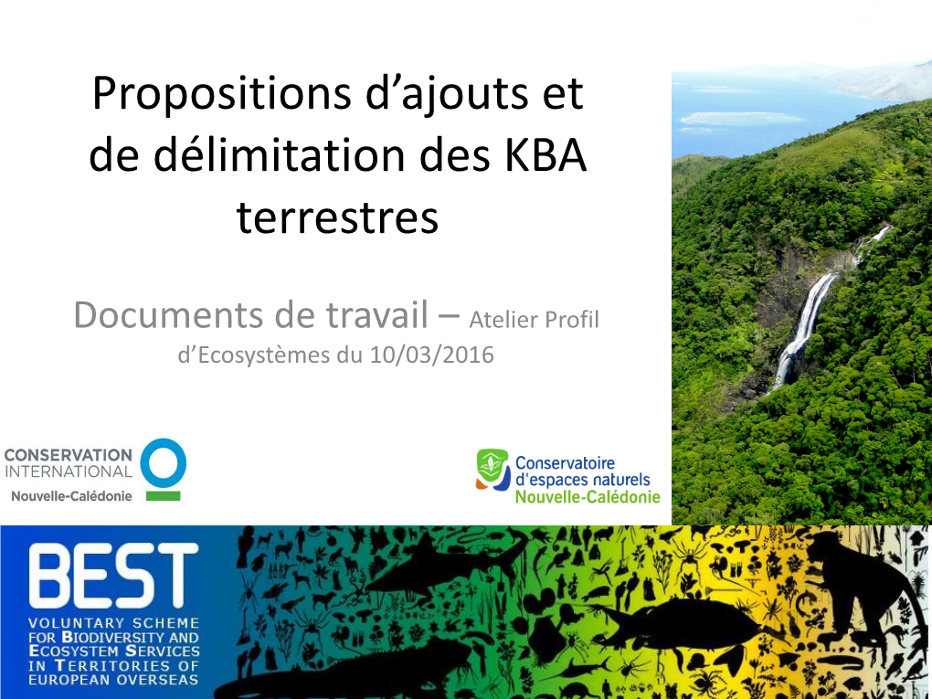 Propositions D'ajouts Et De Délimitation Des KBA Terrestres