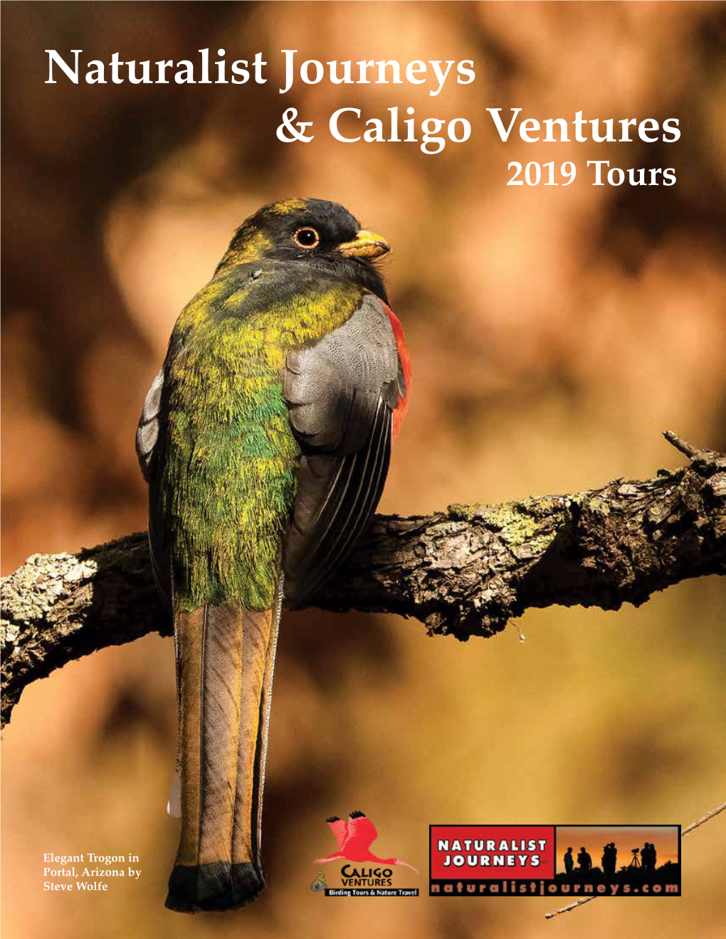 Naturalist Journeys & Caligo Ventures