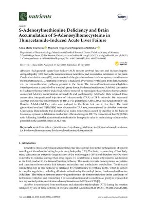 S-Adenosylmethionine Deficiency and Brain Accumulation of S-Adenosylhomocysteine in Thioacetamide-Induced Acute Liver Failure