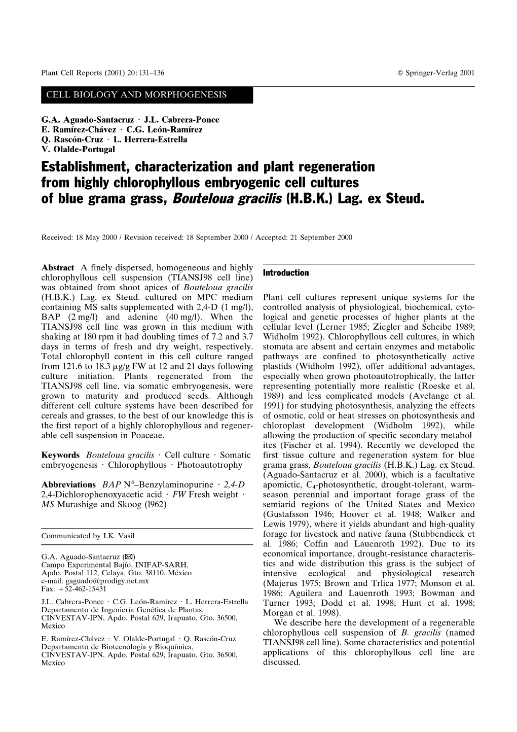 Establishment, Characterization and Plant Regeneration from Highly Chlorophyllous Embryogenic Cell Cultures of Blue Grama Grass, Bouteloua Gracilis (H.B.K.) Lag