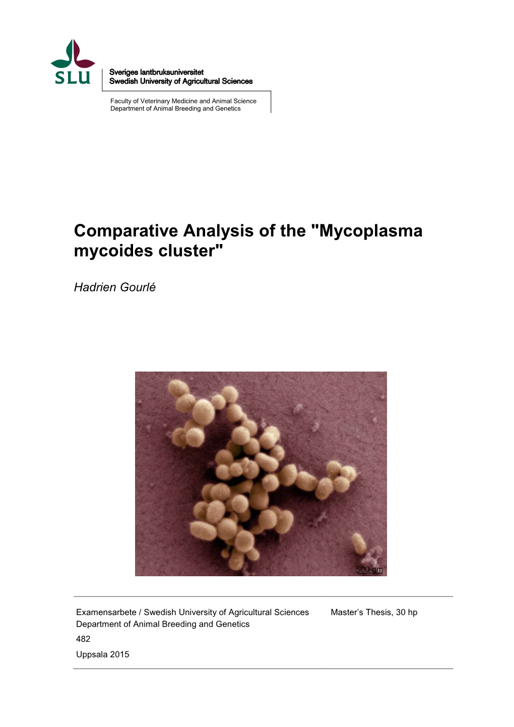 Mycoplasma Mycoides Cluster"