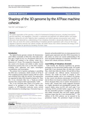Shaping of the 3D Genome by the Atpase Machine Cohesin Yoori Kim1 and Hongtao Yu1,2