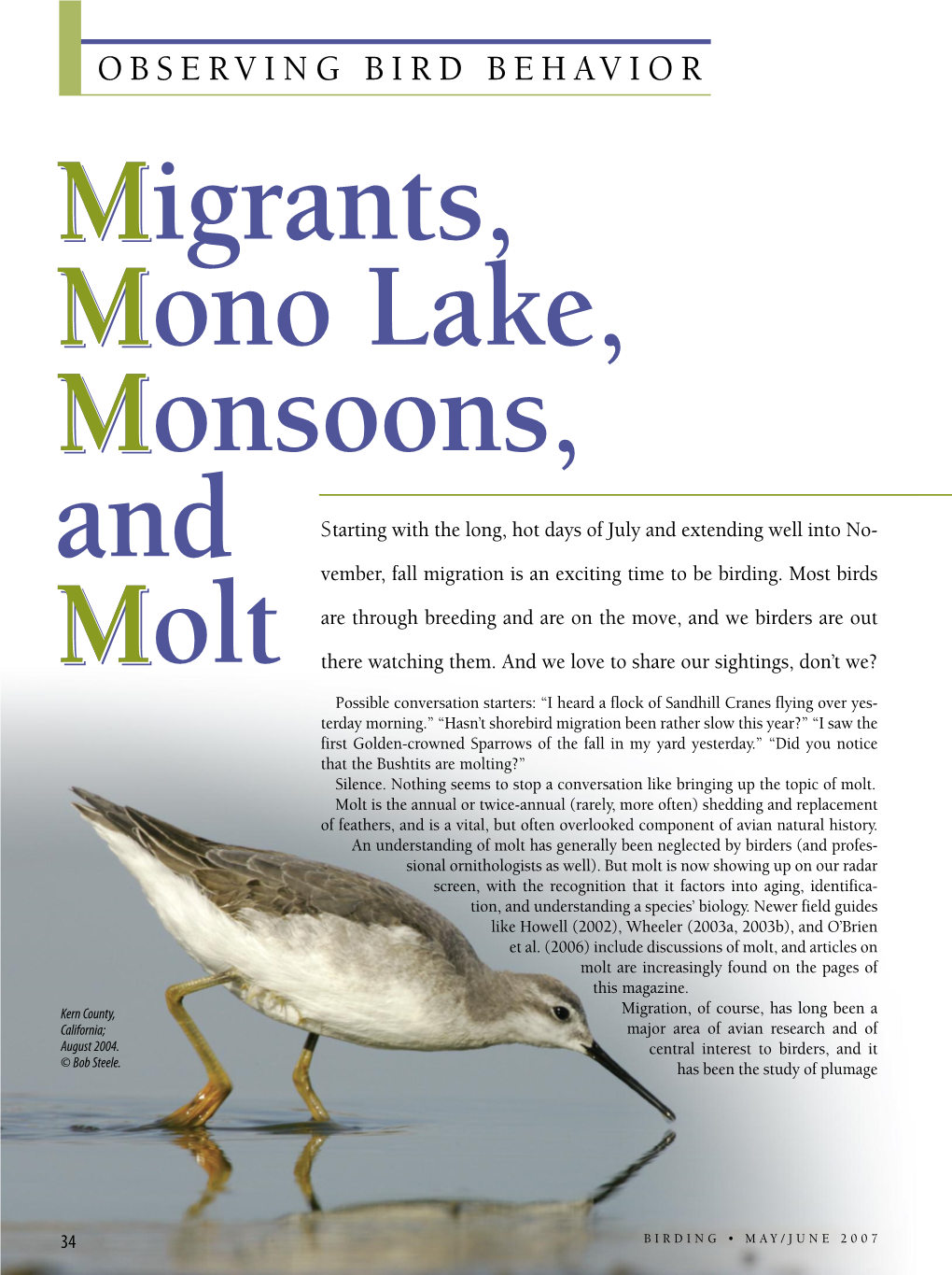 Migrants, Mono Lake, Monsoons, and Molt M M