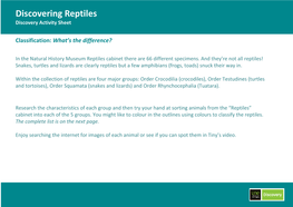 Reptiles Activity Sheet
