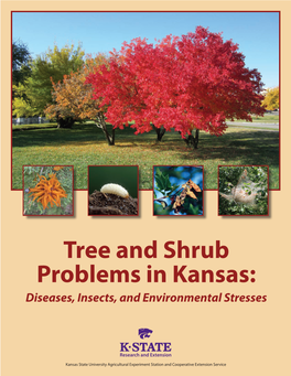 MF3132 Tree and Shrub Problems in Kansas