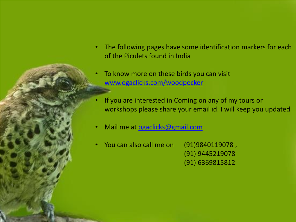 • the Following Pages Have Some Identification Markers for Each of the Piculets Found in India