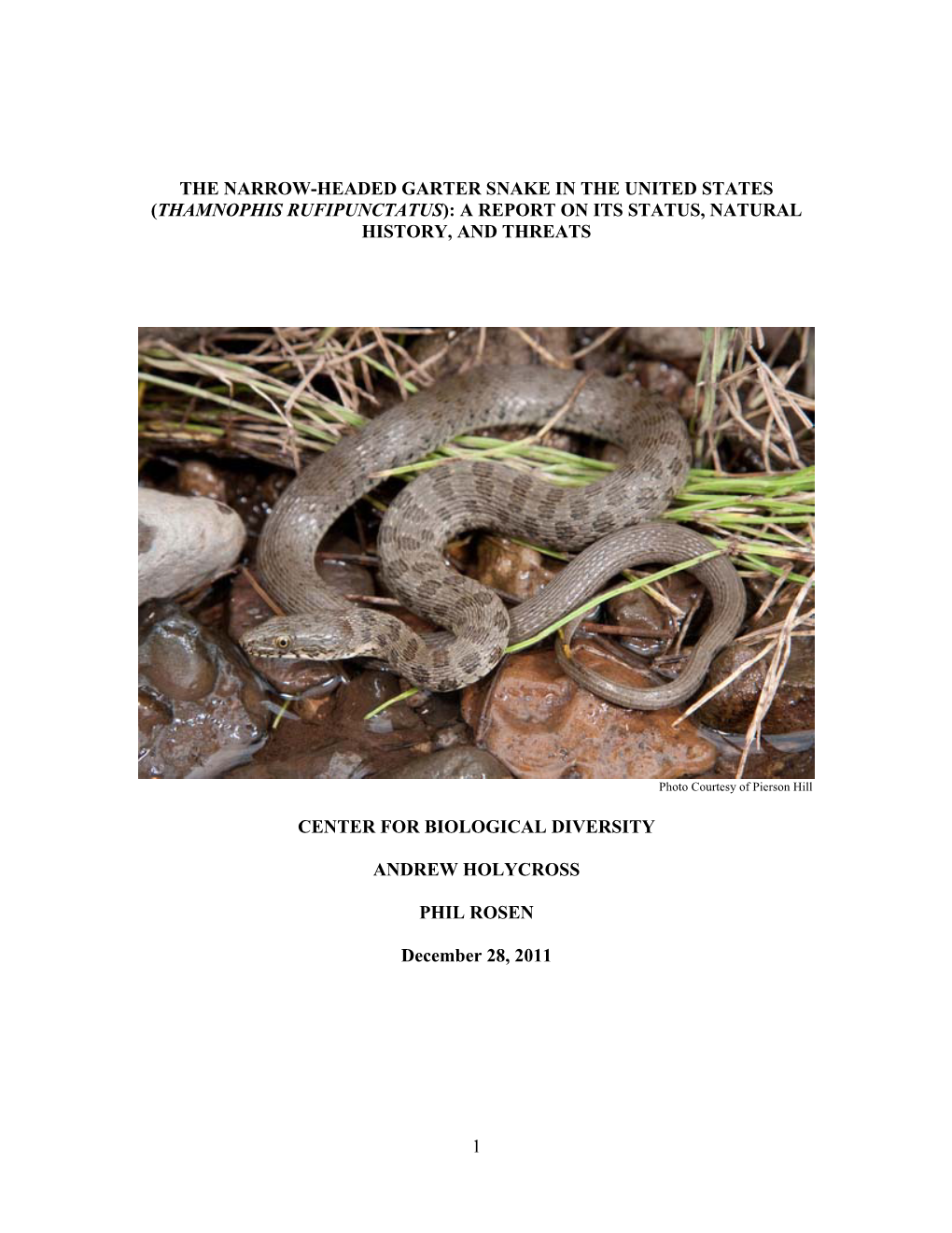 The Narrow-Headed Garter Snake in the United States (Thamnophis Rufipunctatus): a Report on Its Status, Natural History, and Threats