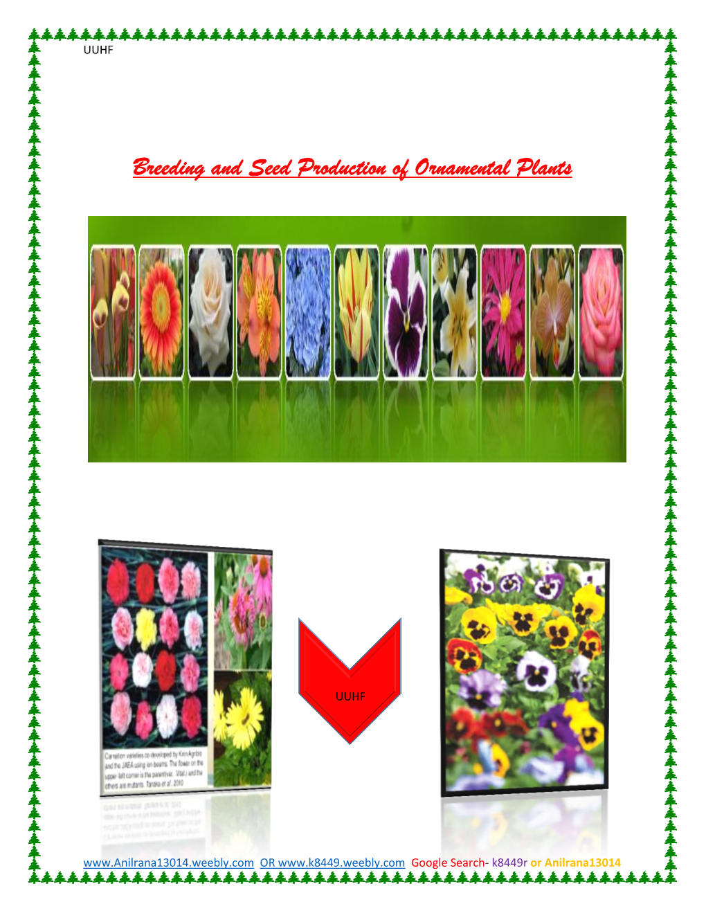 Breeding and Seed Production of Ornamental Plants