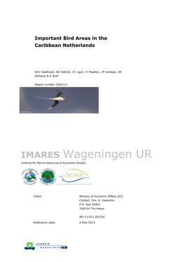 2013 Geelhoed Et Al Important Bird Areas in the Caribbean Netherlands