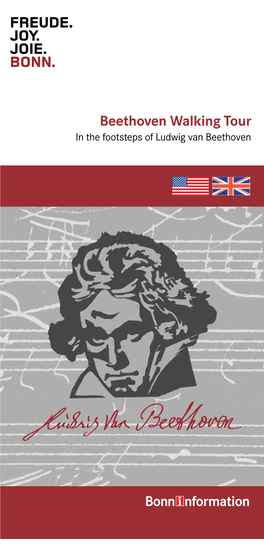 Beethoven Walking Tour in the Footsteps of Ludwig Van Beethoven