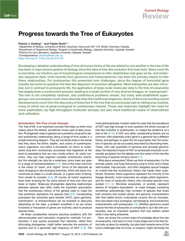 Progress Towards the Tree of Eukaryotes