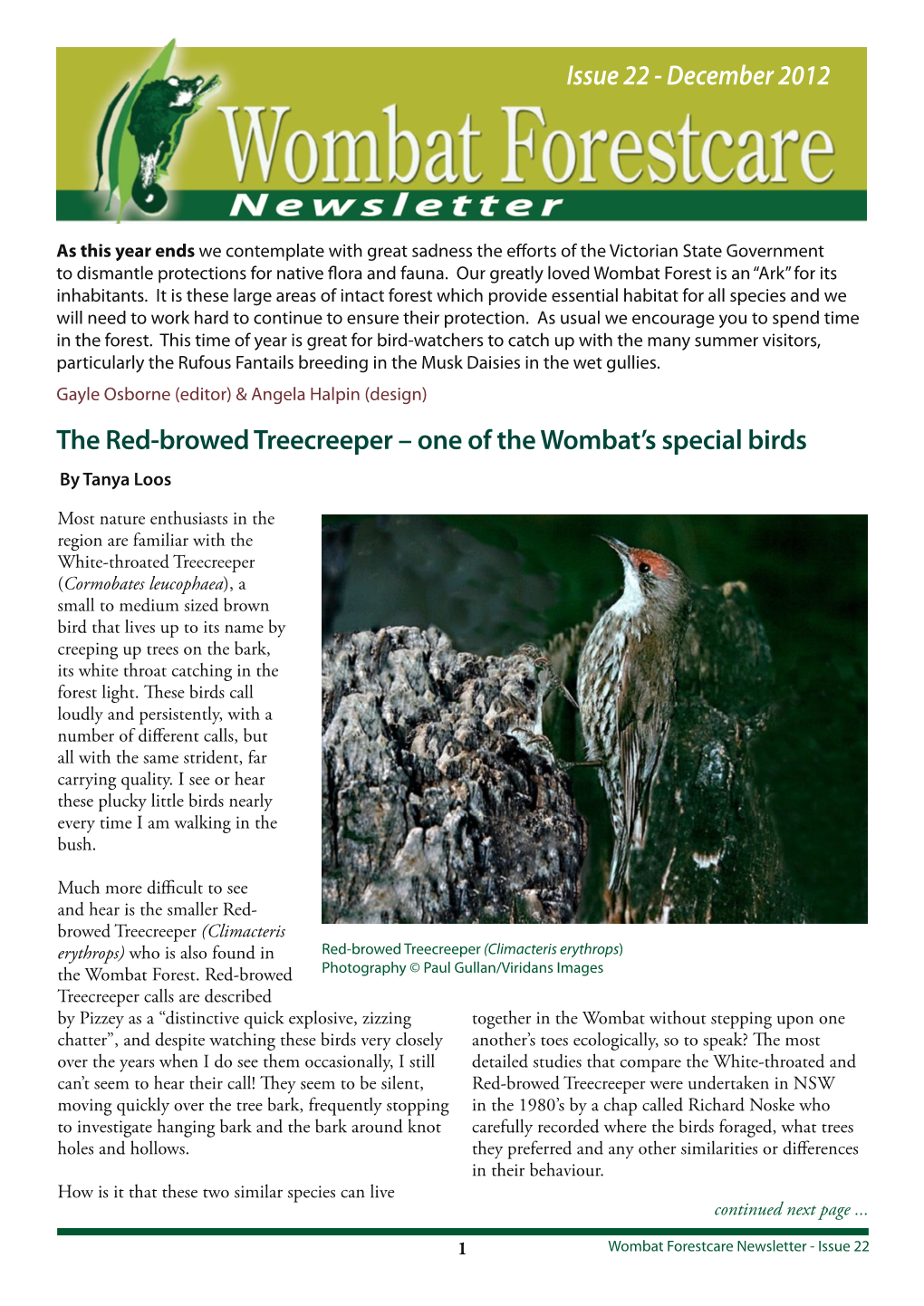 December 2012 Newsletter the Red-Browed Treecreeper
