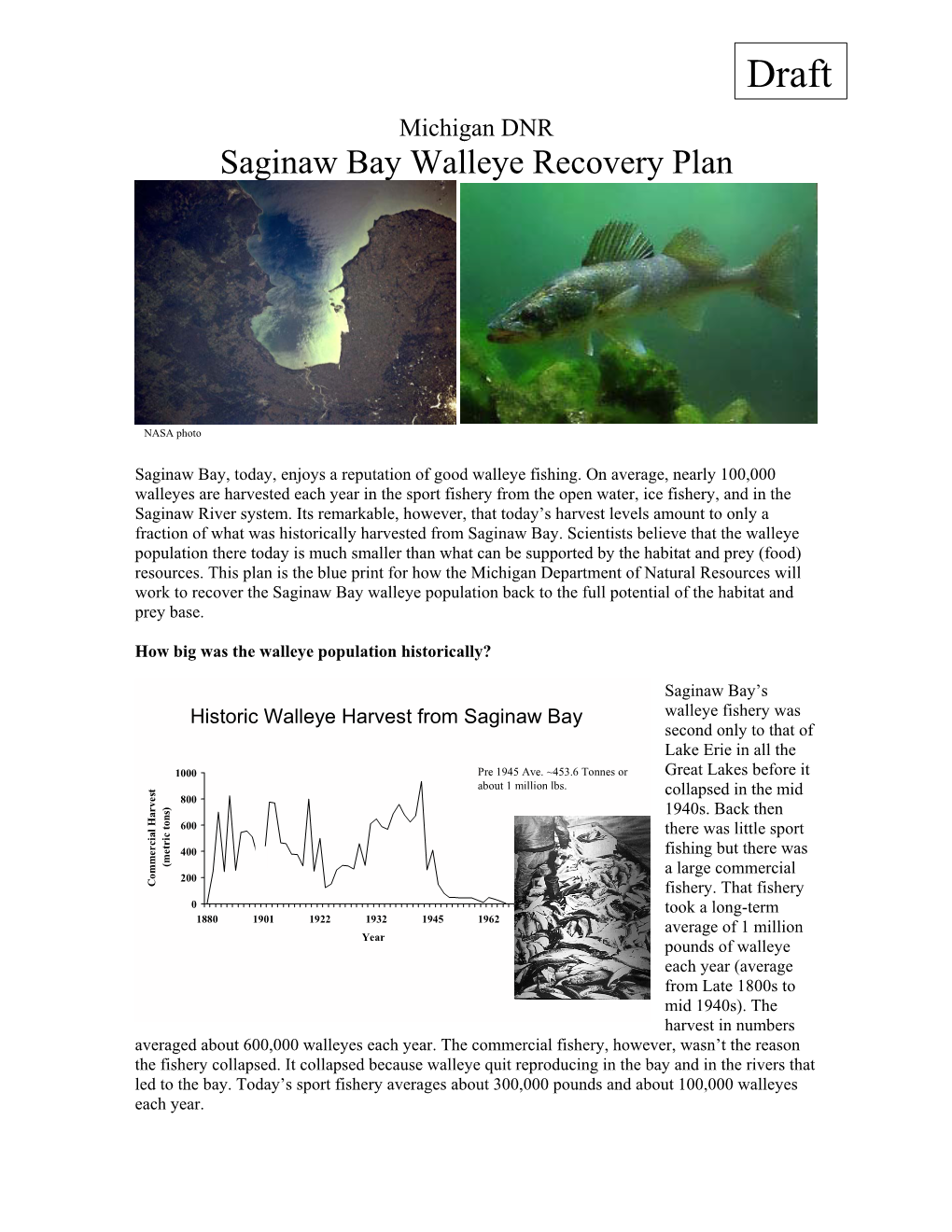 Saginaw Bay Walleye Recovery Plan Merged Ver