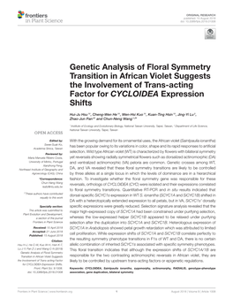 Genetic Analysis of Floral Symmetry Transition in African Violet Suggests the Involvement of Trans-Acting Factor for CYCLOIDEA Expression Shifts