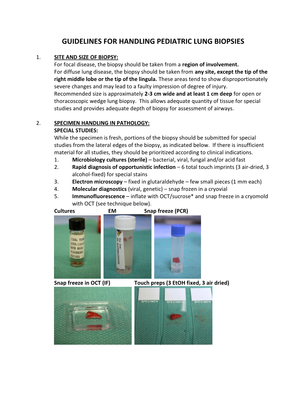 Guidelines for Handling Pediatric Lung Biopsies