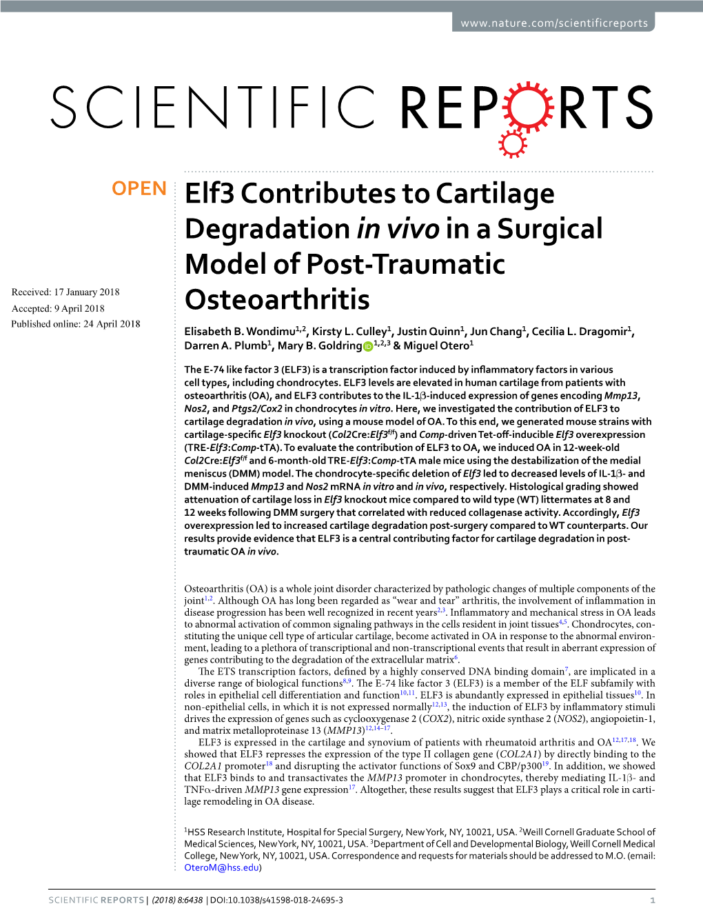 Elf3 Contributes to Cartilage Degradation in Vivo in a Surgical Model of Post-Traumatic Osteoarthritis