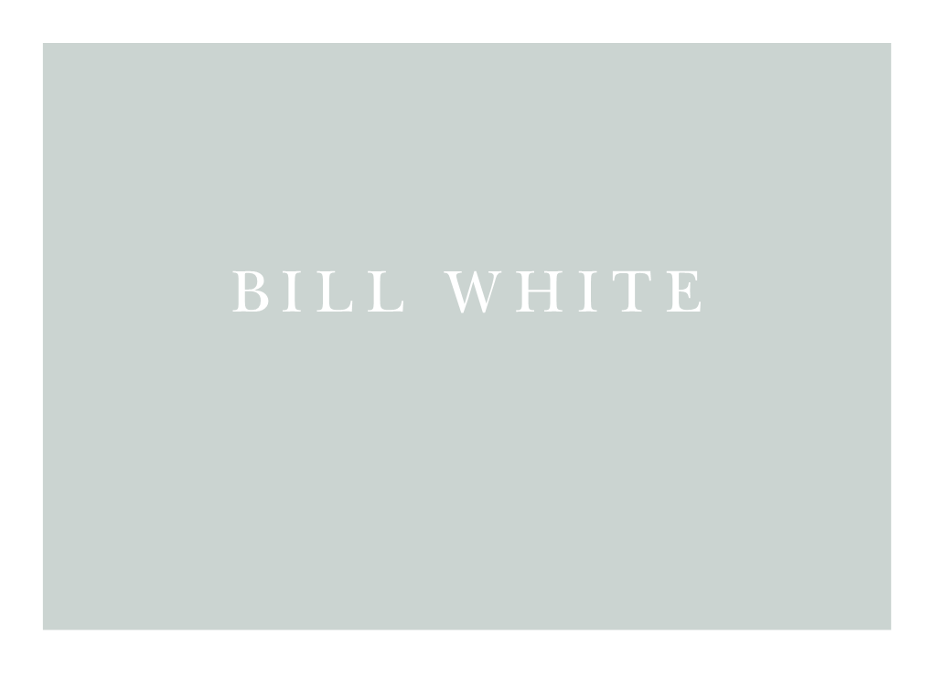 Bill White: the a Rt of T H E R E a L Bill White: Empathy and Engagement Was Publication Director: All Rights Reserved