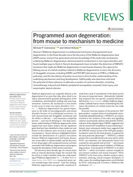 Programmed Axon Degeneration: from Mouse to Mechanism to Medicine