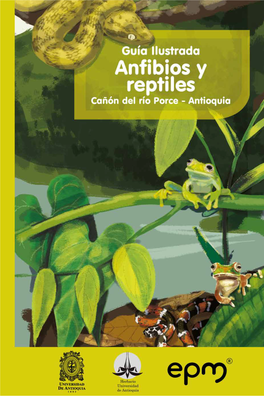Guía Ilustrada Anfibios Y Reptiles Cañón Del Río Porce, Antioquia Cítese El Libro Como: Suárez, Ana María Y Esteban Alzate Basto