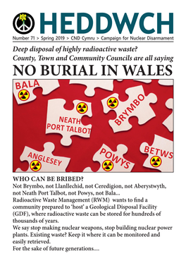 CND Cymru > Campaign for Nuclear Disarmament Deep Disposal of Highly Radioactive Waste? County, Town and Community Councils Are All Saying NO BURIAL in WALES BALA