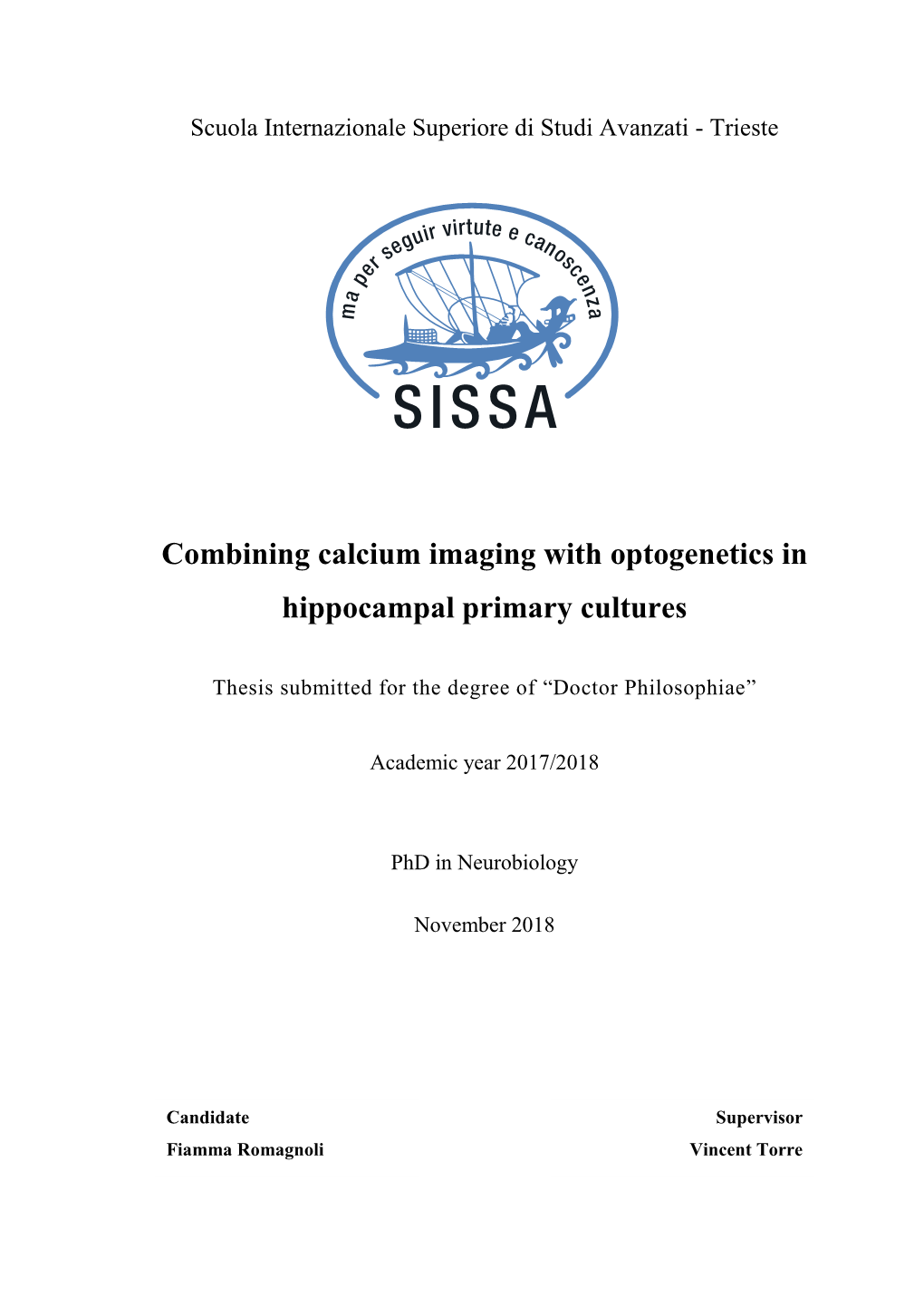 Combining Calcium Imaging with Optogenetics in Hippocampal Primary Cultures