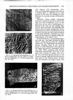 ORDOVICIAN BIOGENIC STRUCTURES and PALEOENVIRONMENTS 1333 1957; Osgood, 1970; Chamberlain, 1971). Only One Recognizable Specimen
