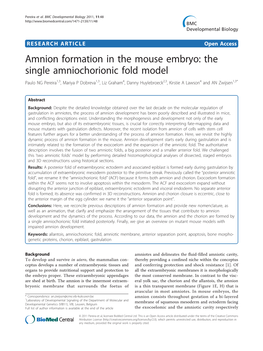Amnion Formation in the Mouse Embryo