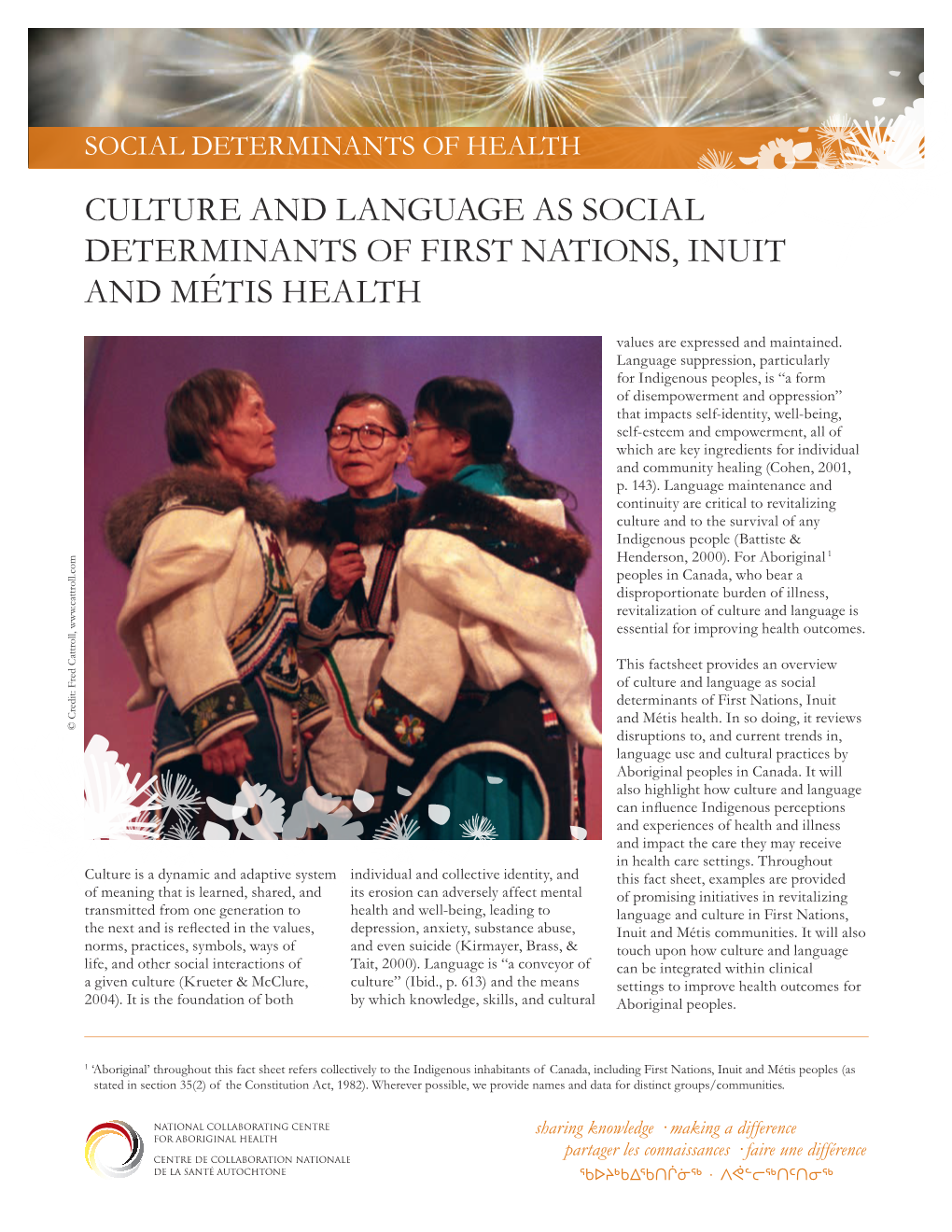 Culture and Language As Social Determinants of First Nations, Inuit and Métis Health