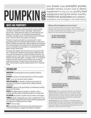What Are Pumpkins?