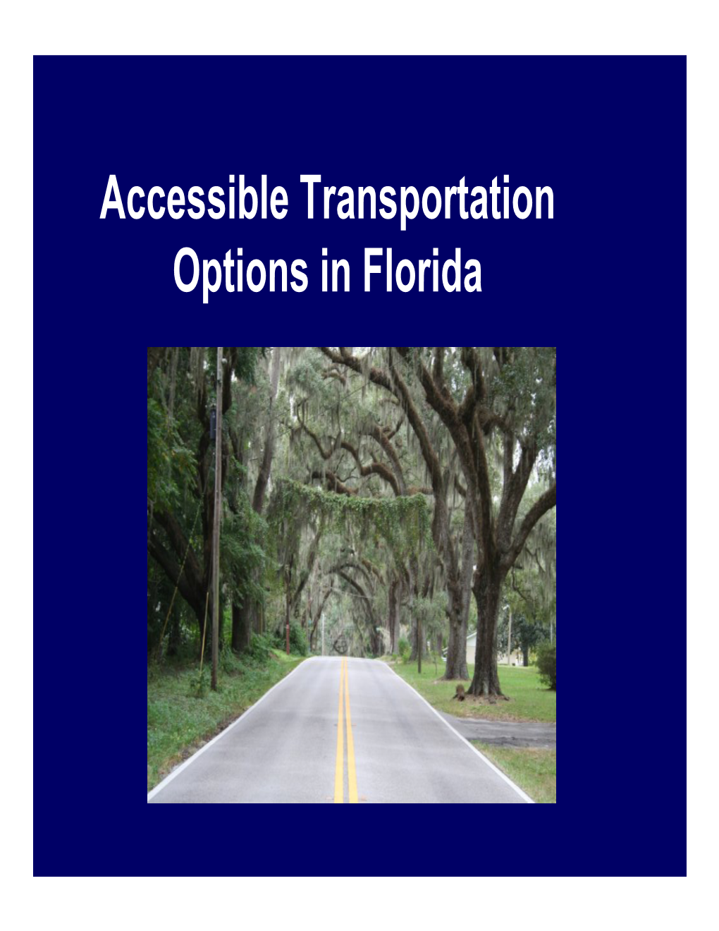 Accessible Transportation Options in Florida