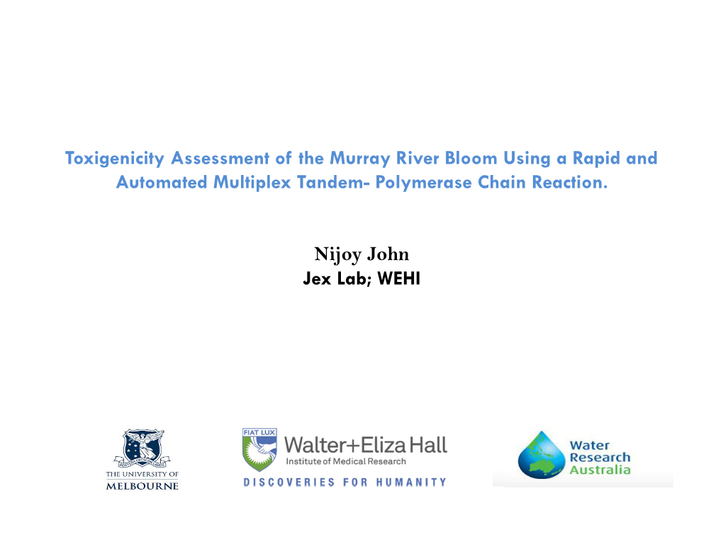 Toxigenicity Assessment of the Murray River Bloom Using a Rapid and Automated Multiplex Tandem- Polymerase Chain Reaction