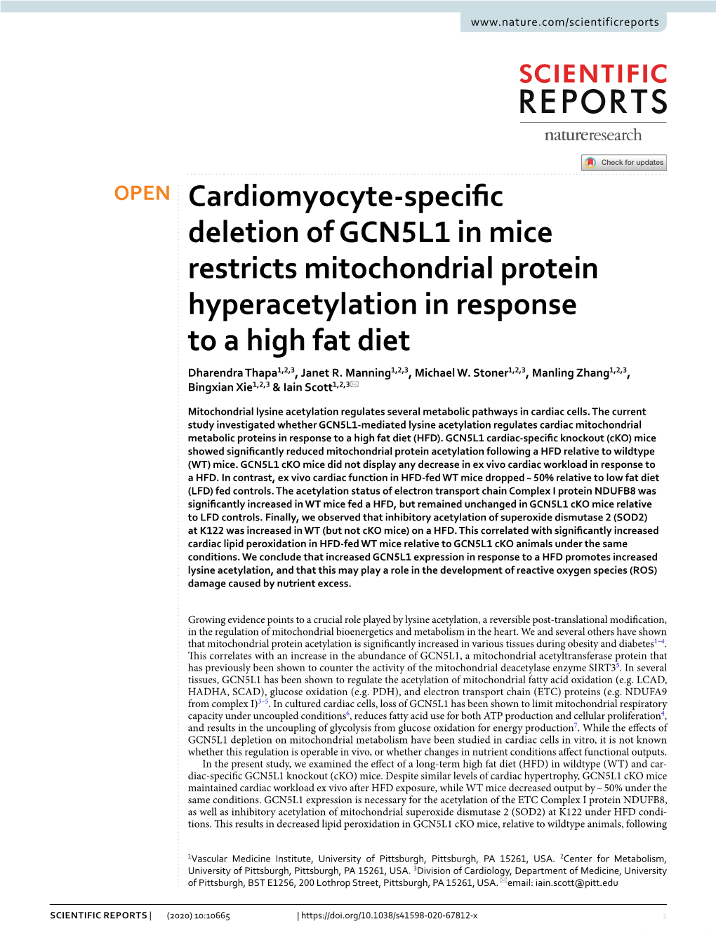 Cardiomyocyte-Specific Deletion of GCN5L1 in Mice Restricts