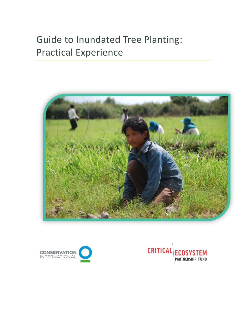 Guide to Inundated Tree Planting: Practical Experience