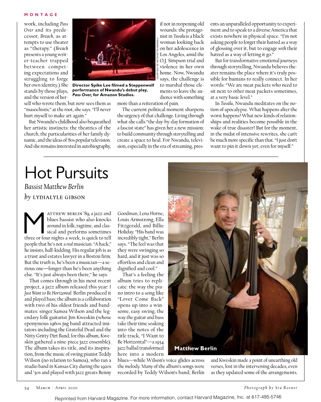 Hot Pursuits Bassist Matthew Berlin by Lydialyle Gibson