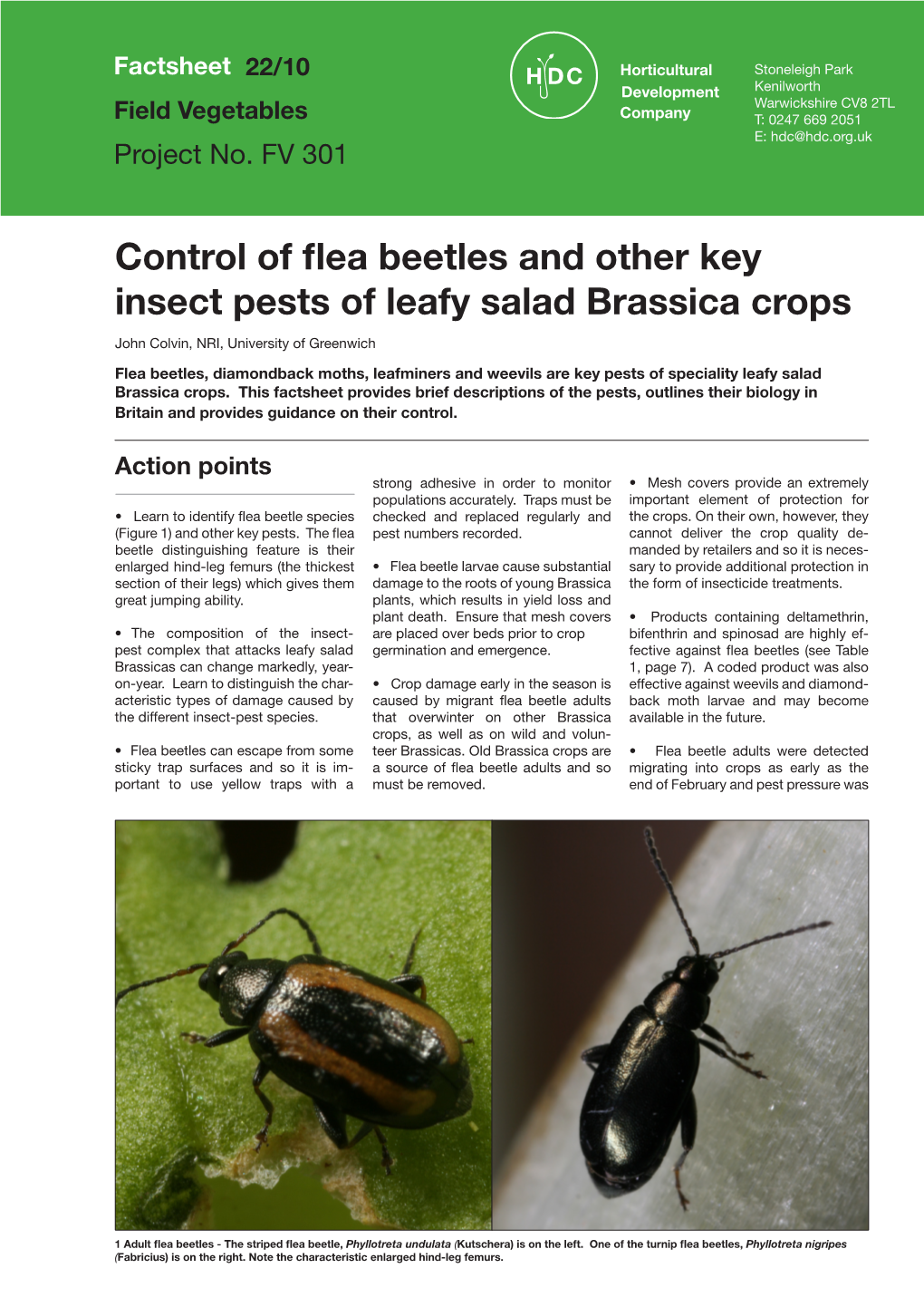 Control of Flea Beetles and Other Key Insect Pests of Leafy Salad Brassica Crops